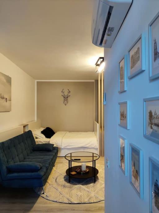 Joy City Stay Vivalia V6A-41 Timisoara Bagian luar foto