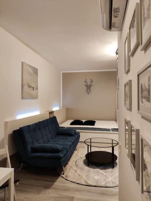 Joy City Stay Vivalia V6A-41 Timisoara Bagian luar foto
