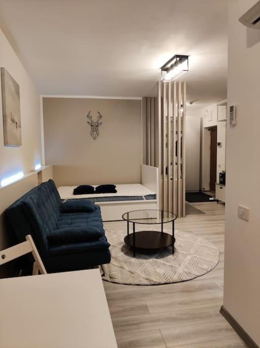 Joy City Stay Vivalia V6A-41 Timisoara Bagian luar foto